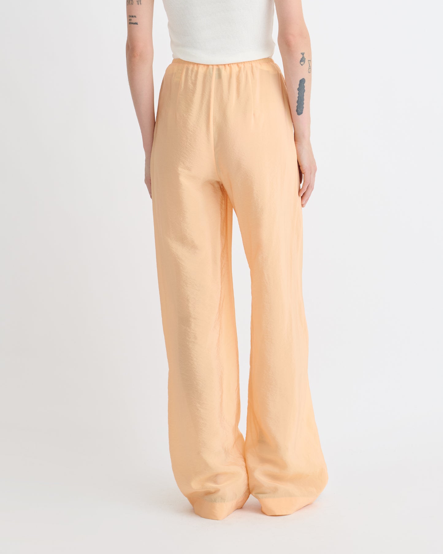 Arvenn - Crepe Organza Pants - Apricot